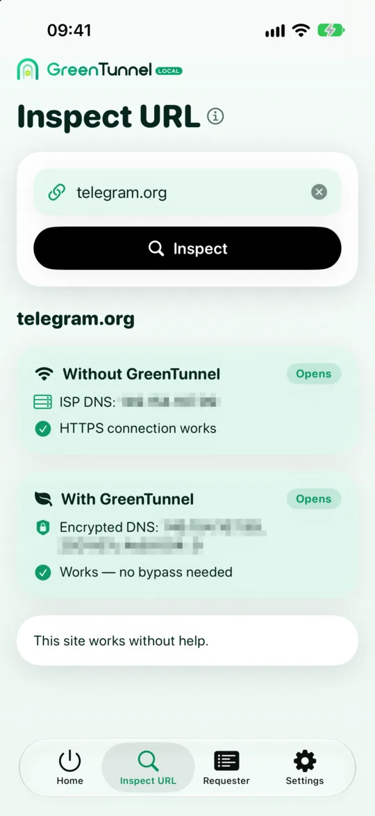 Inspect URL result for a site that opens normally, with both cards tagged Opens